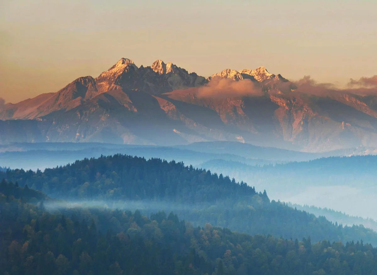 oddać elektrośmieci profesjonalnie?