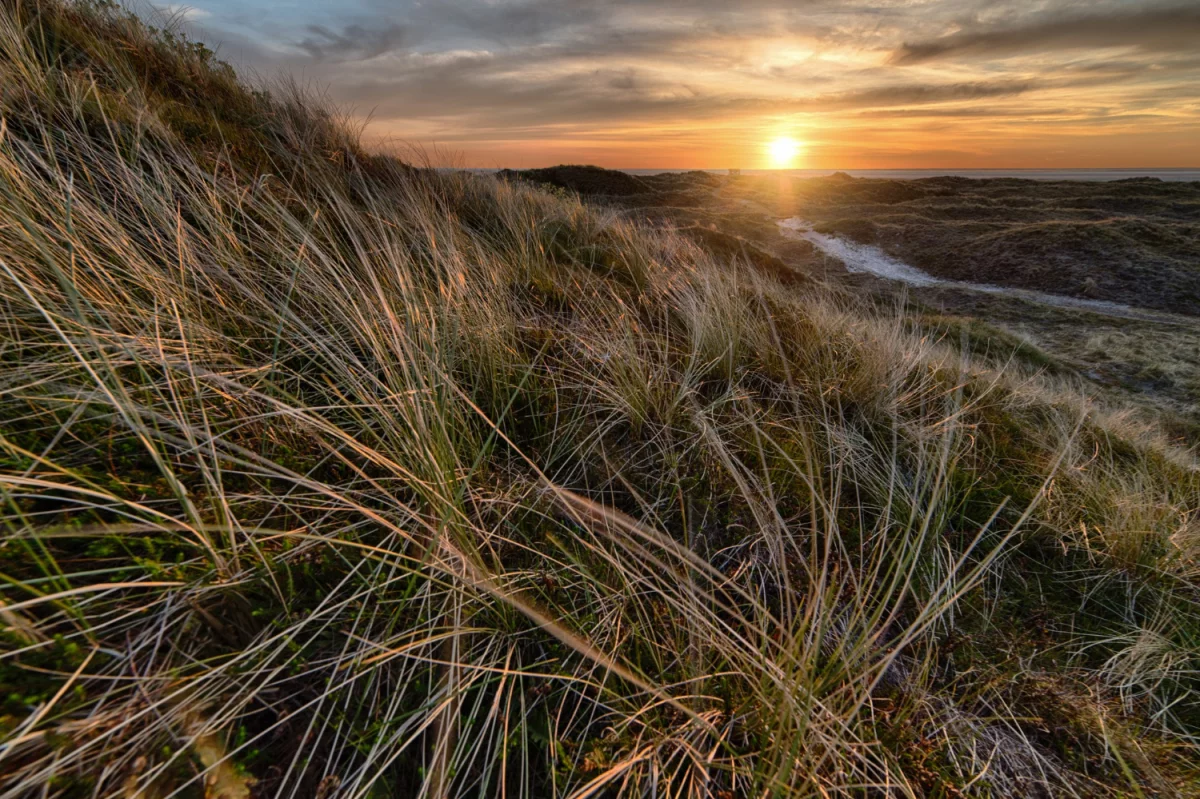 Szkolić się z ppoż jak mistrz!