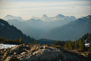 oddać elektrośmieci profesjonalnie?